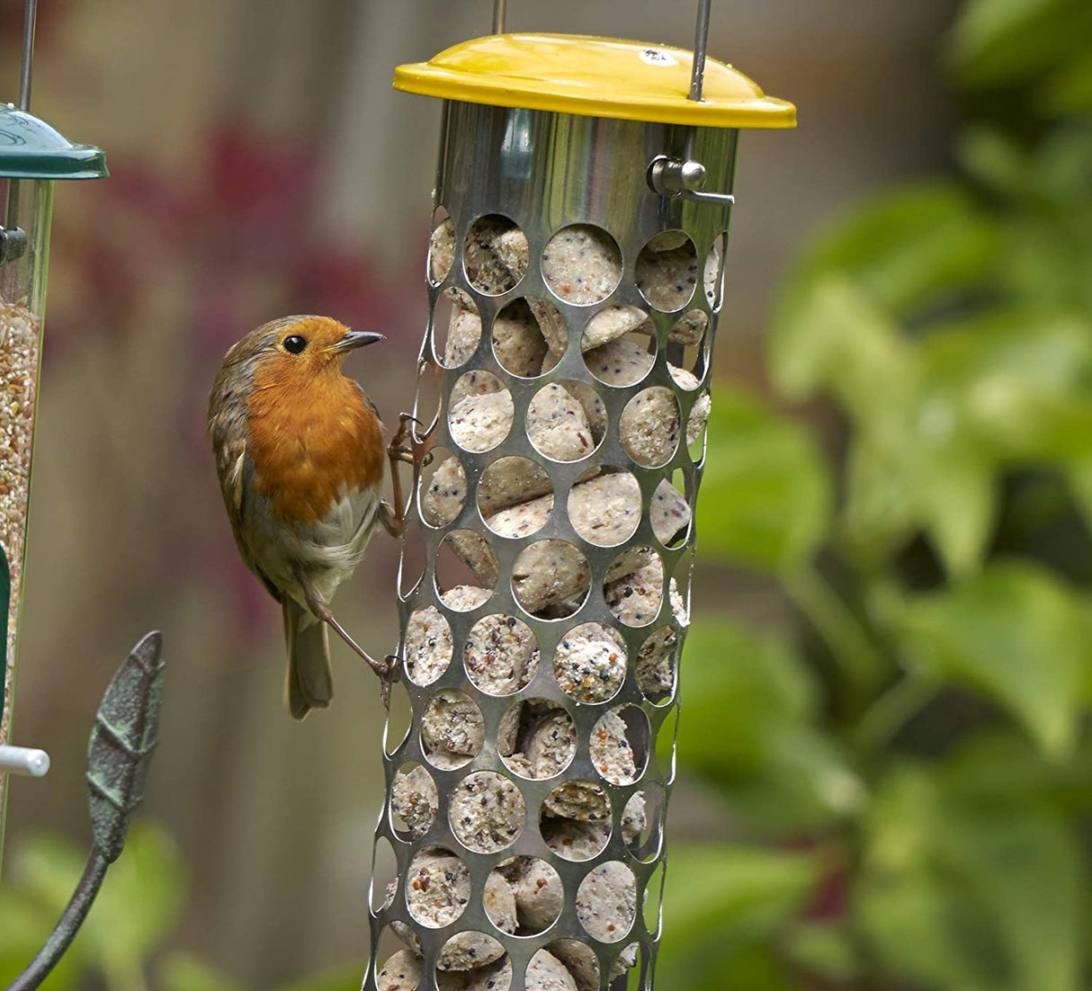 Peckish Daily Goodness Suet Nugget Metal Bird Feeder