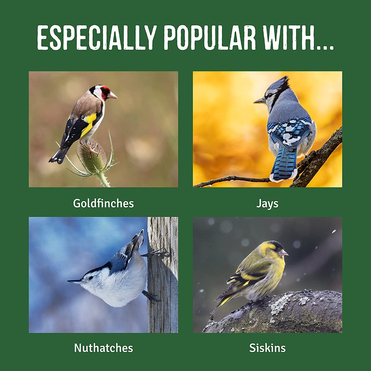 Honeyfields Heavy Duty Hanging Bird Seed Feeder