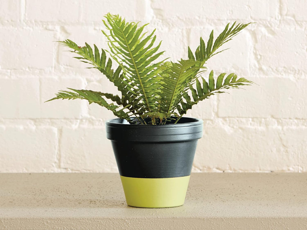 Ronseal Garden Paint Lime Zest 2.5L