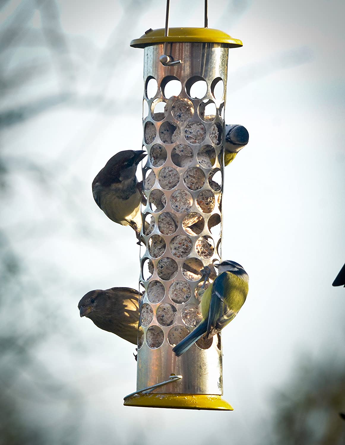 Peckish Daily Goodness Suet Nugget Metal Bird Feeder