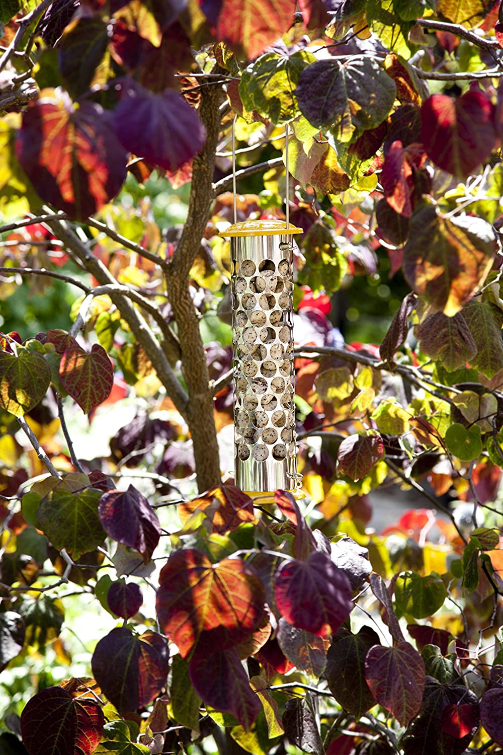 Peckish Daily Goodness Suet Nugget Metal Bird Feeder