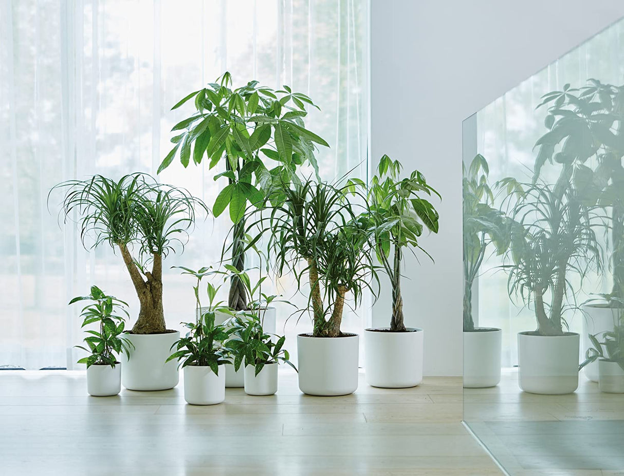 B.for Soft Round 25cm - Anthracite