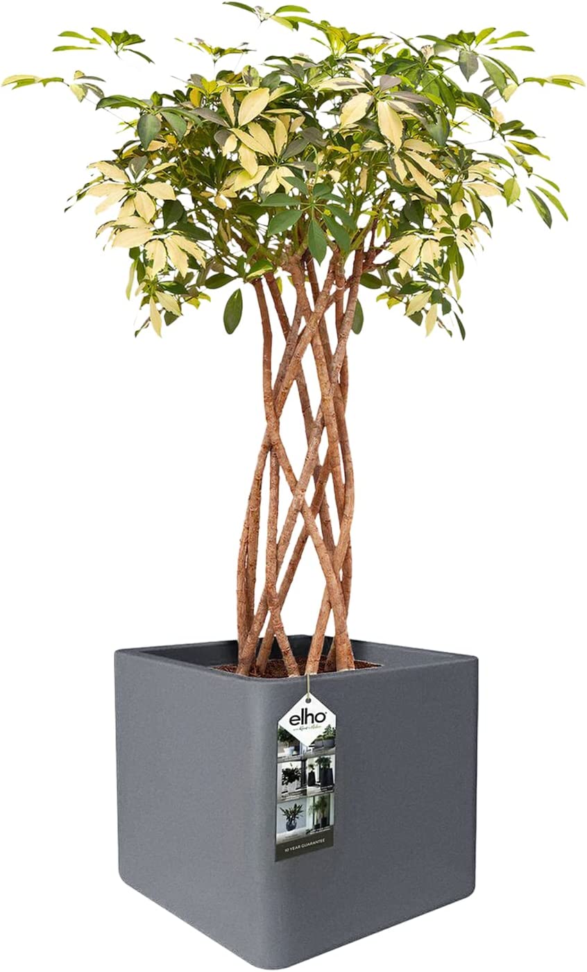 Pure Soft Brick Planter 50cm - Concrete Grey