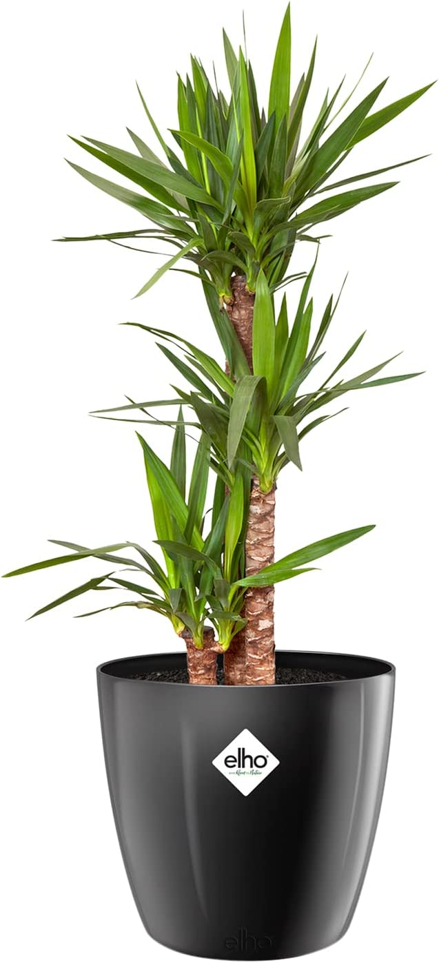 Brussels Diamond Round 30cm - Metallic Black