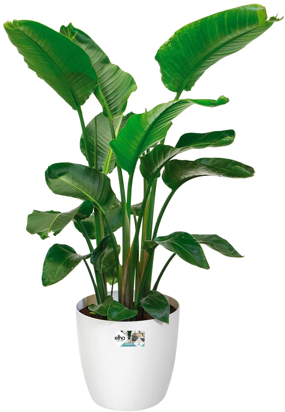 Brussels Round Wheels 35 cm - White