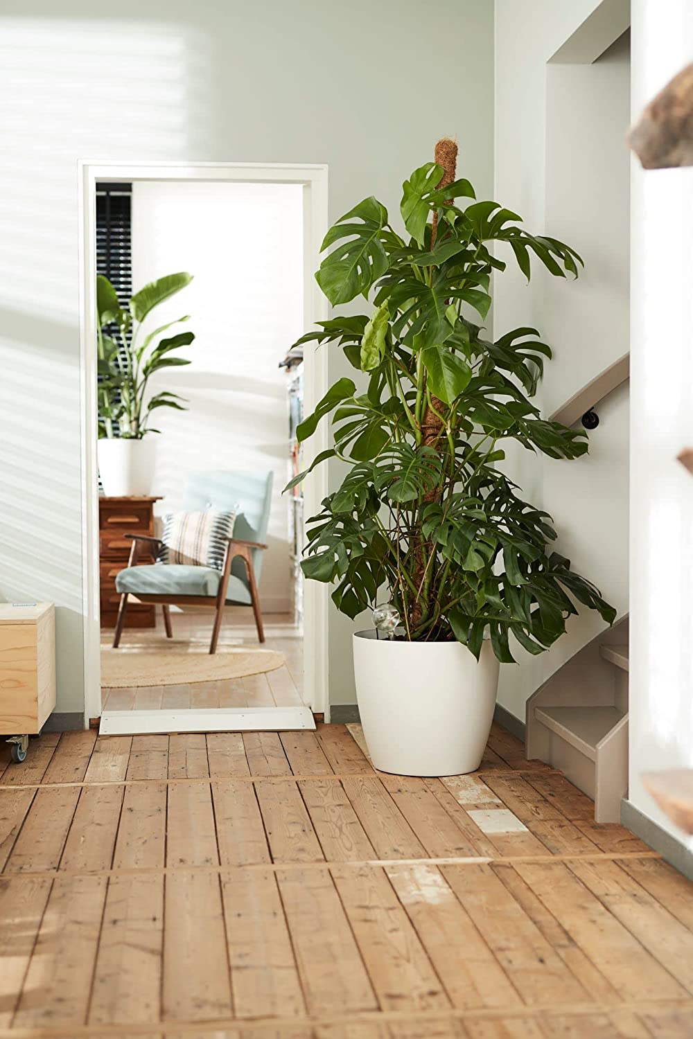 Brussels Round Wheels 35 cm - White