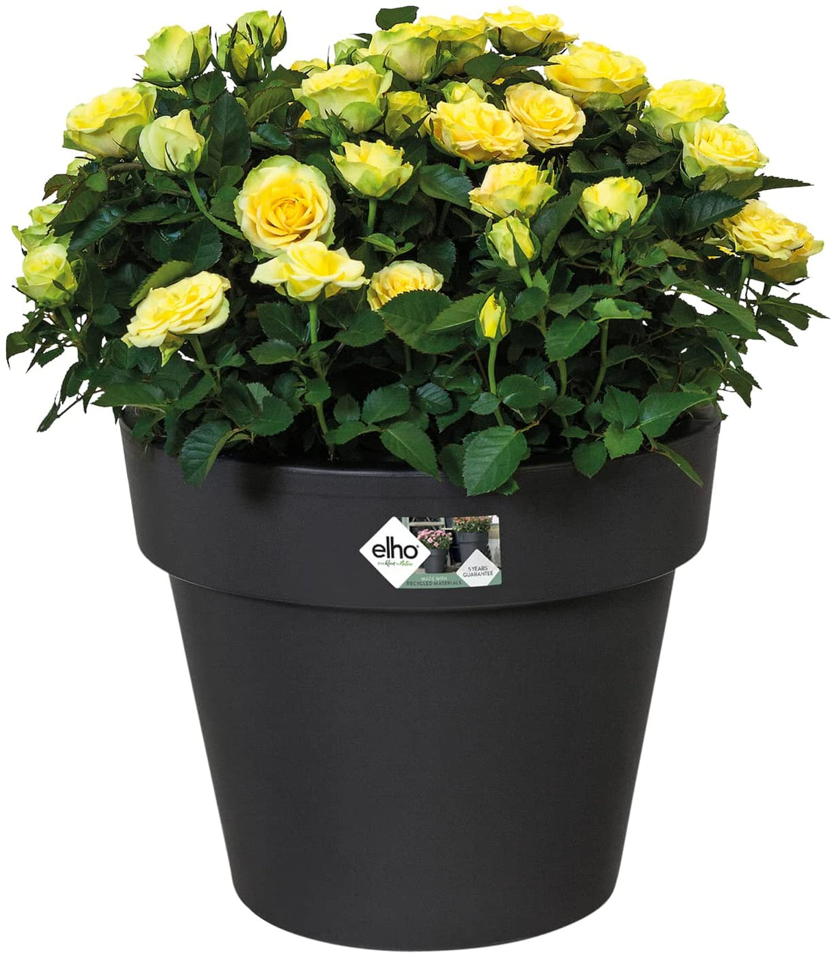 Elho Flower Pot Basics top Planter in Black - 30cm