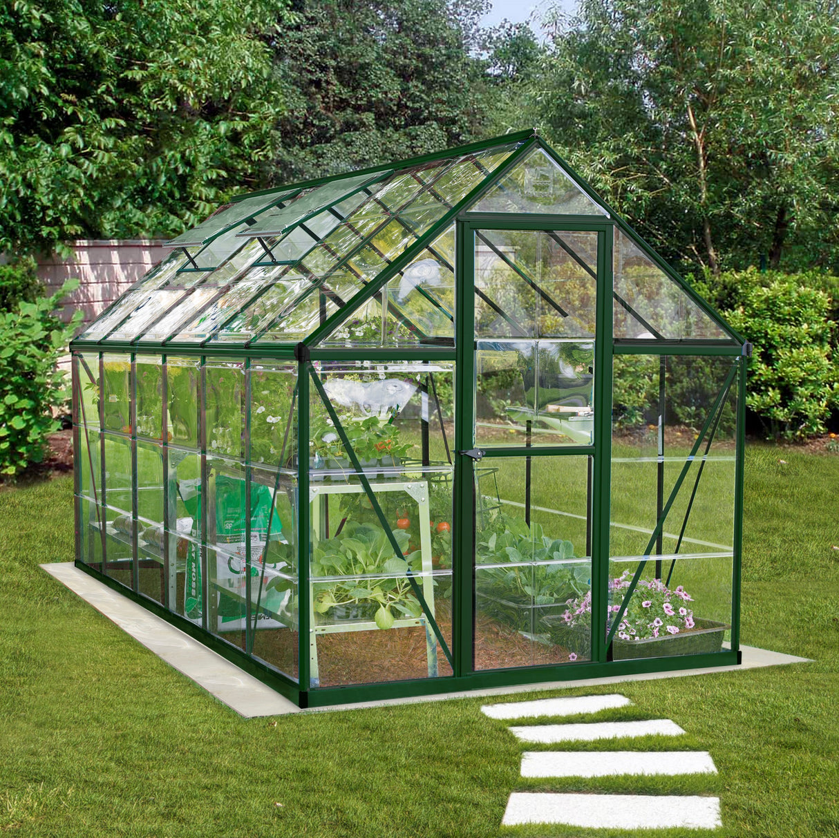 Harmony 6' x 12' Greenhouse - Green Frame & Clear Polycarbonate Panels