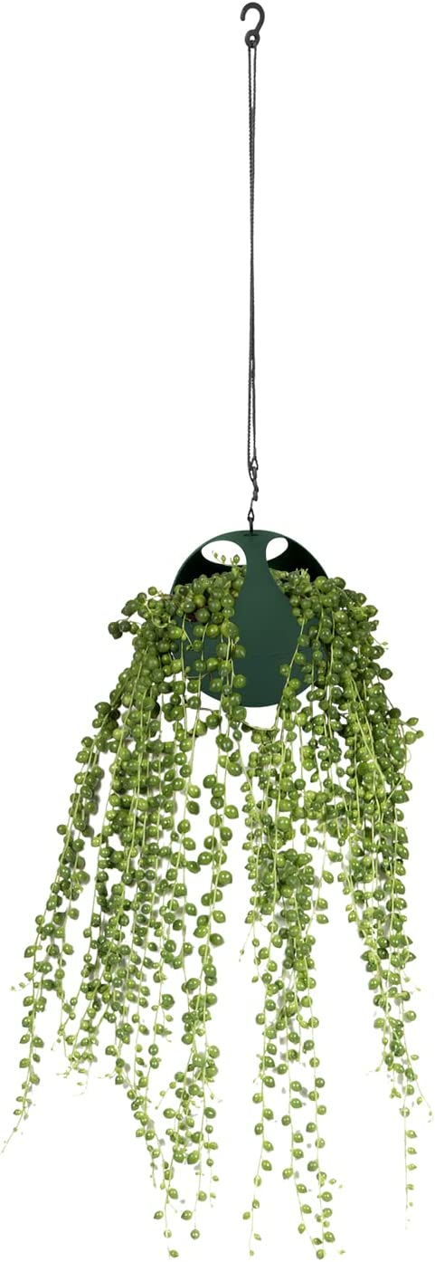 B.for Soft Air 18cm - Leaf Green
