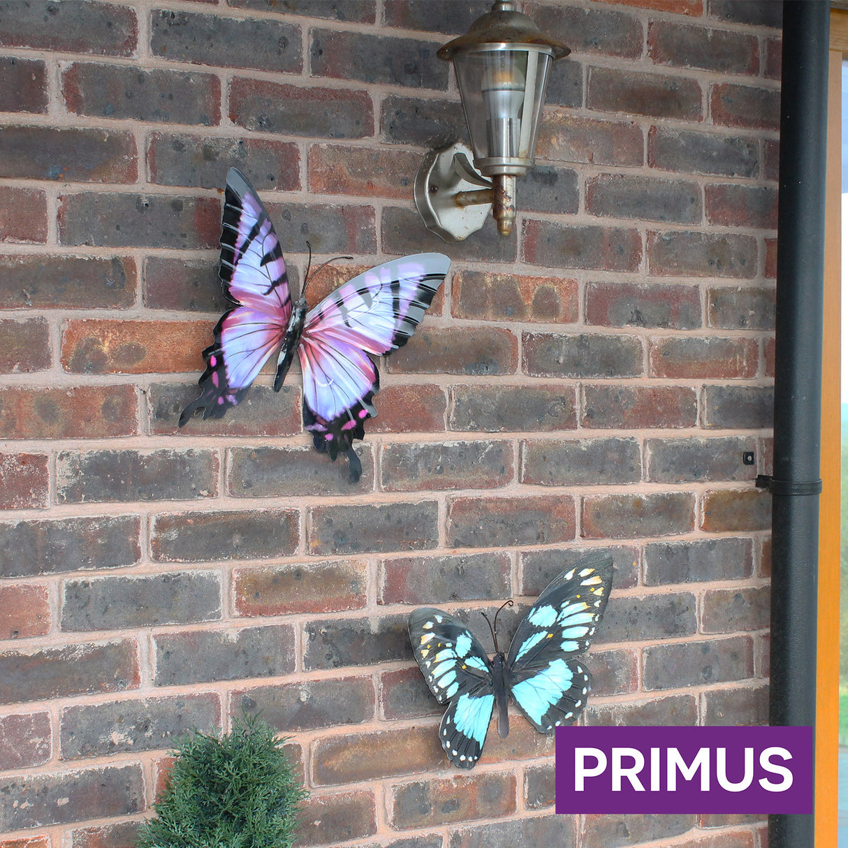 Large Metal Butterfly - Cyan Garden Wall Ornament