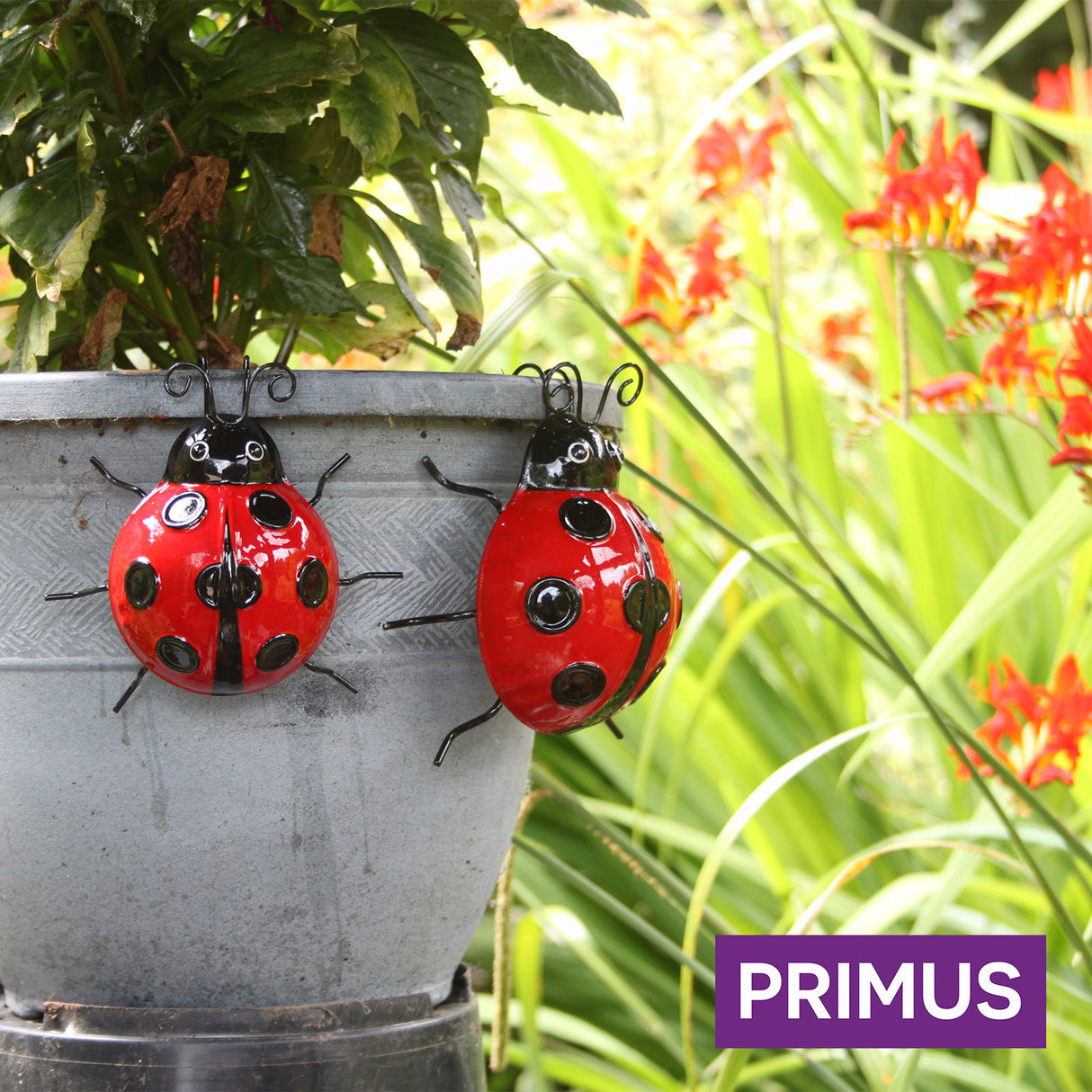 Medium Metal Ladybird Pot Hanger for Garden