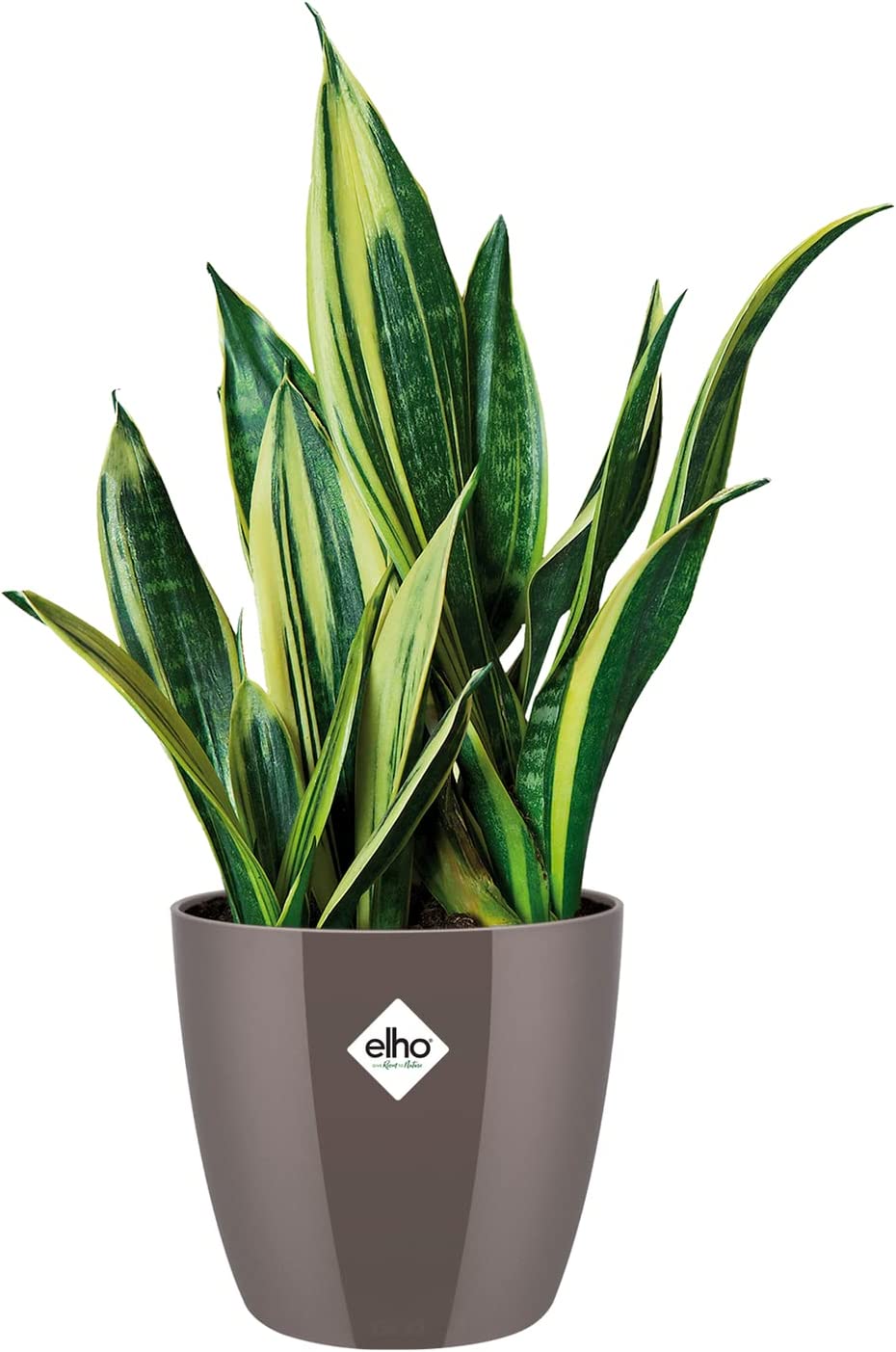 Brussels Diamond Round 30cm - Oyster Pearl