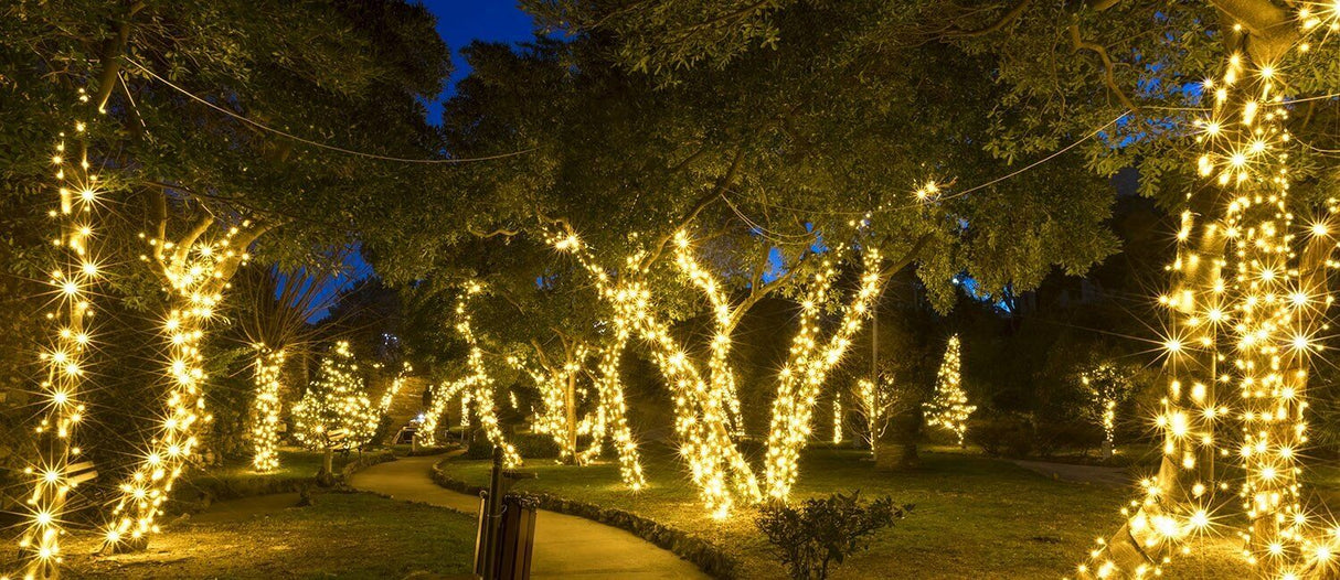 240 LED String/Fairy Compact Christmas Lights - Warm White