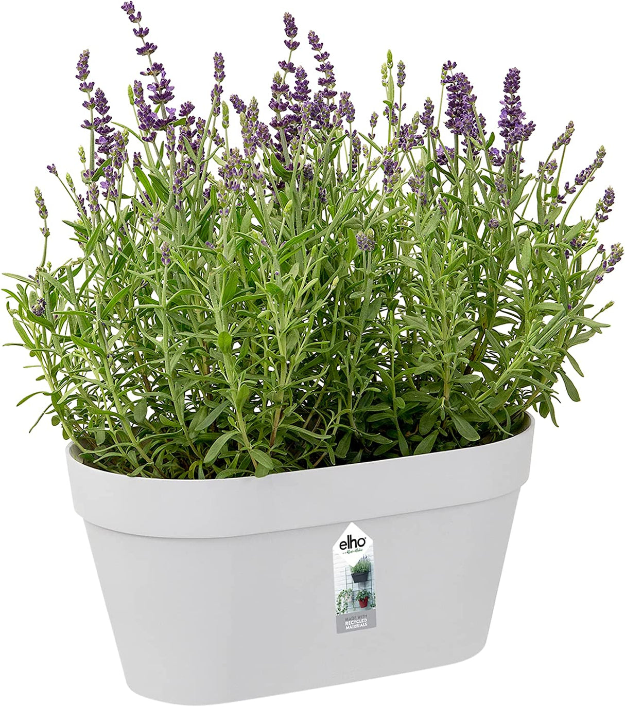 Loft Urban Green Wall Pot Duo 28cm - White