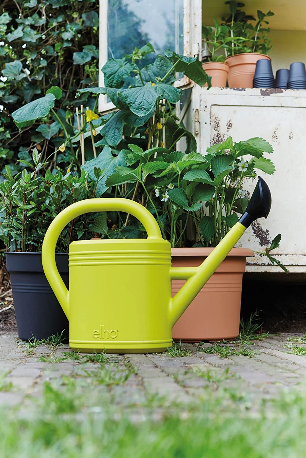 Green Basics Watering Can 10L - Lime Green