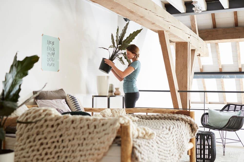 Brussels Diamond High Easy Insert 32cm - Living Black