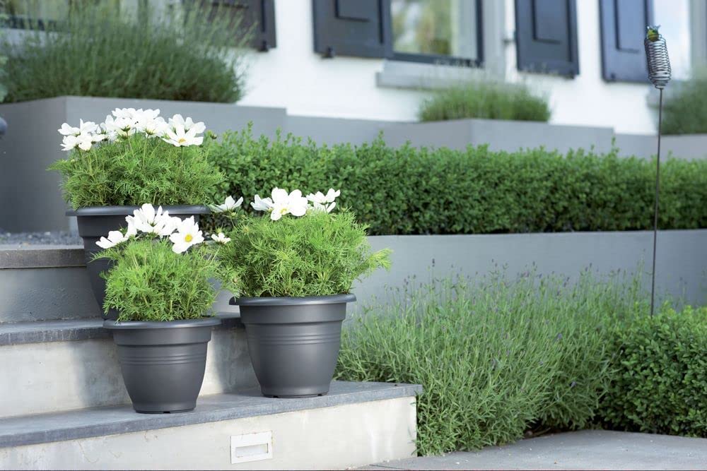 Green Basics Campana 40cm - Living Black