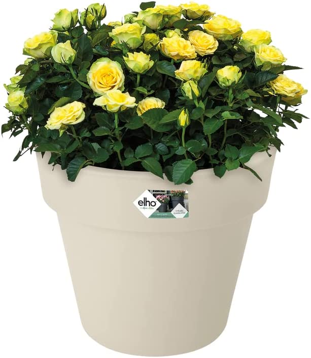Green Basics Top Planter 23cm - Cotton White