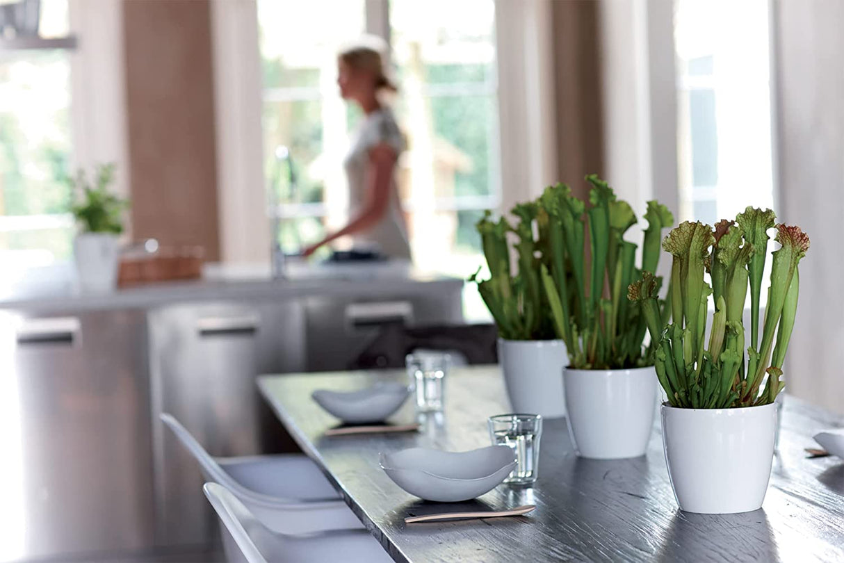 Brussels Diamond Round 30cm - White