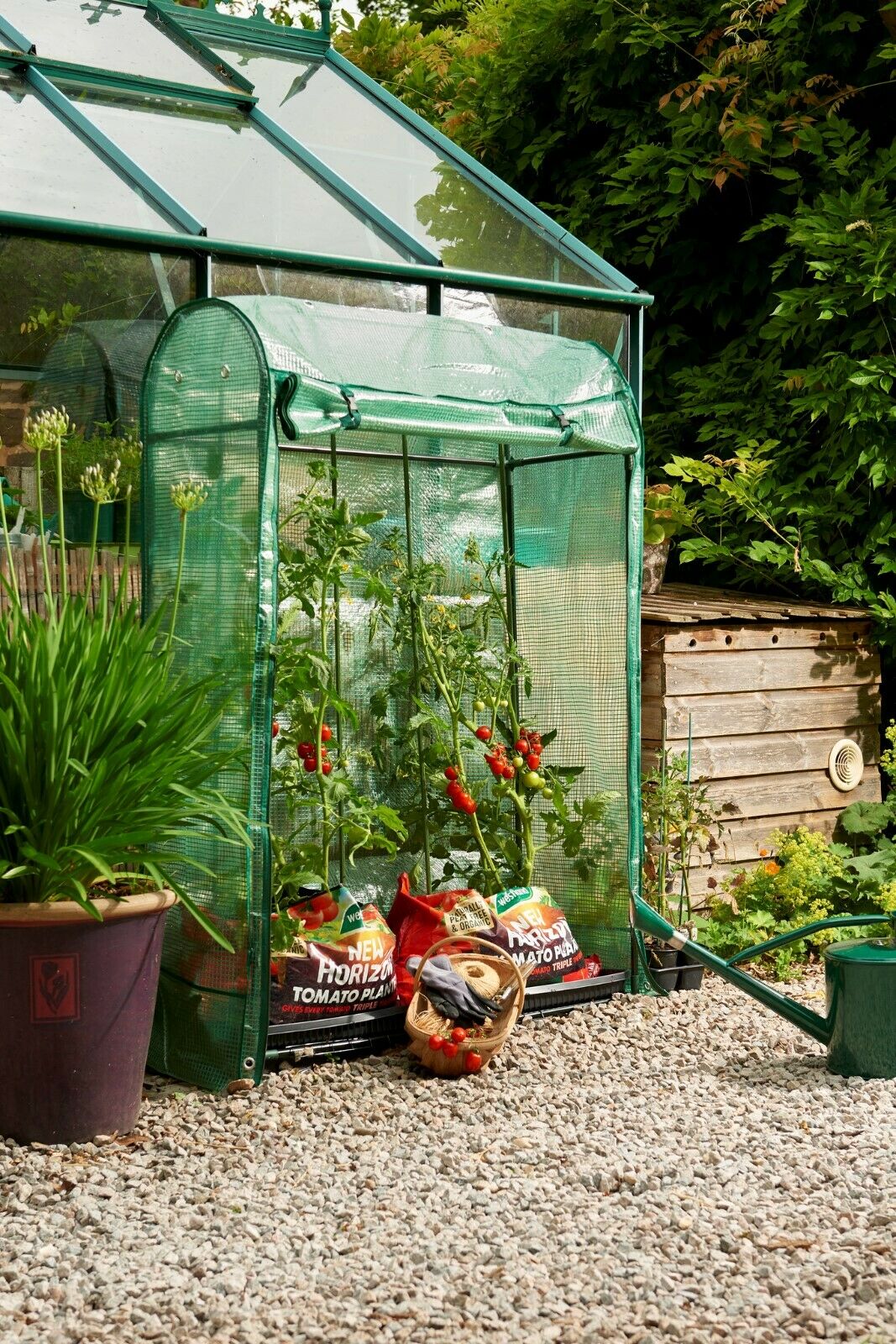 Tomato Outdoor Growhouse / Growbag