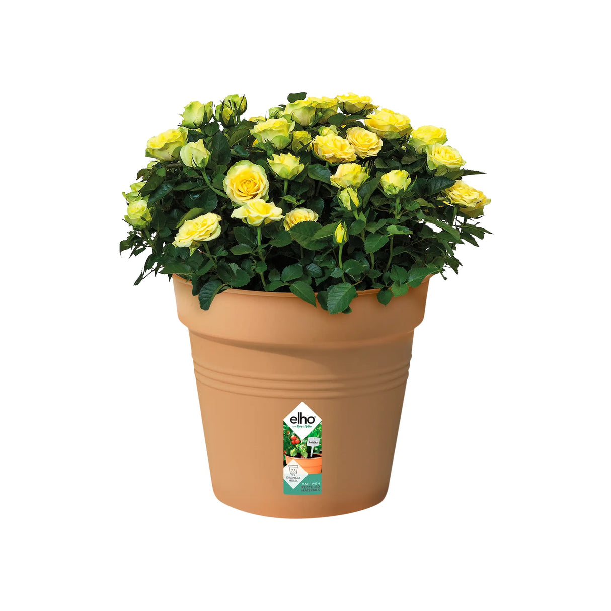 Green Basics Growpot 40cm - Mild Terracotta