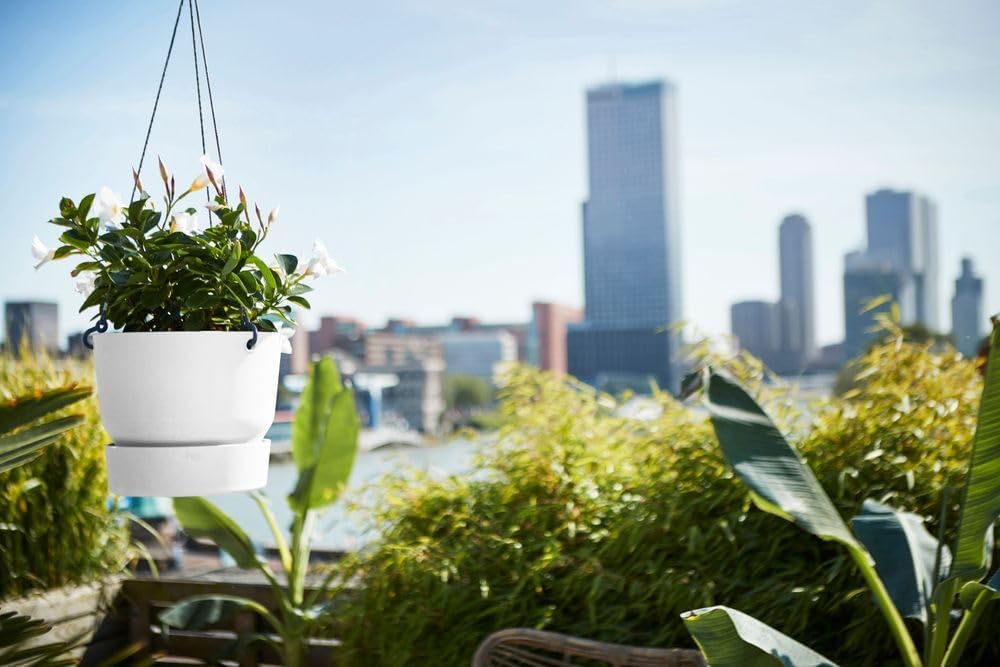 Greenville 24cm Hanging Basket White