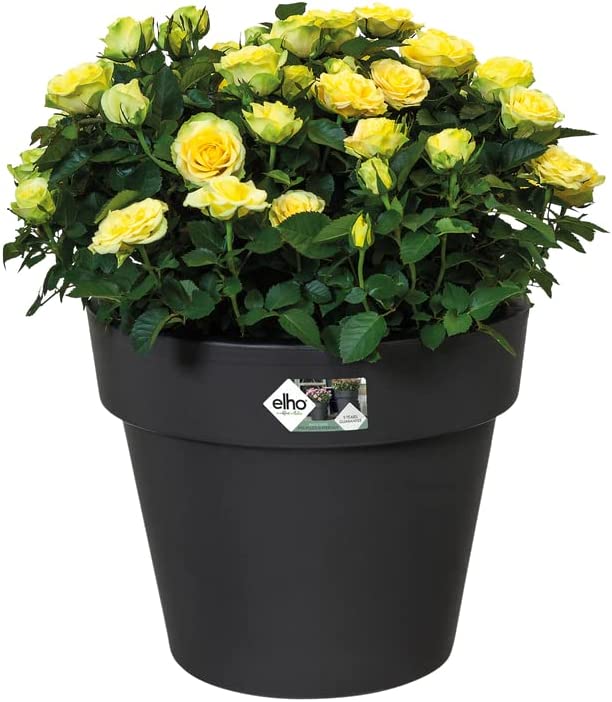 Green Basics Top Planter 23cm - Living Black