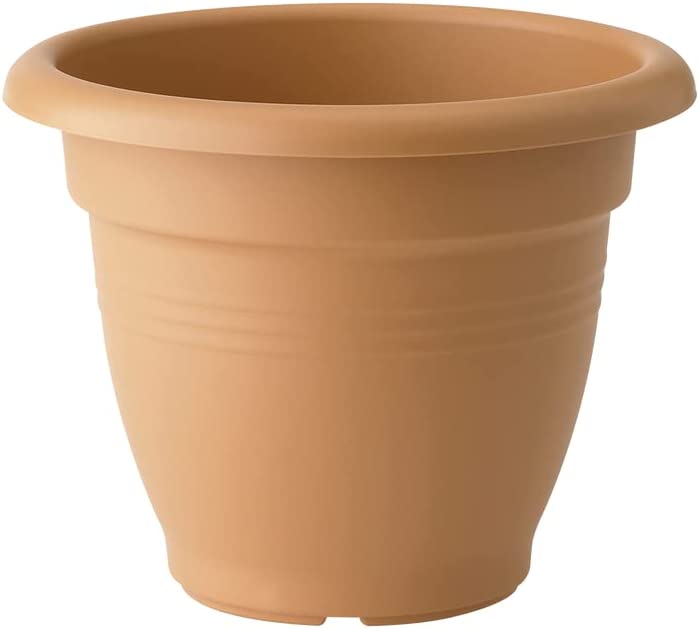 Green Basics Campana 30cm - Mild Terra