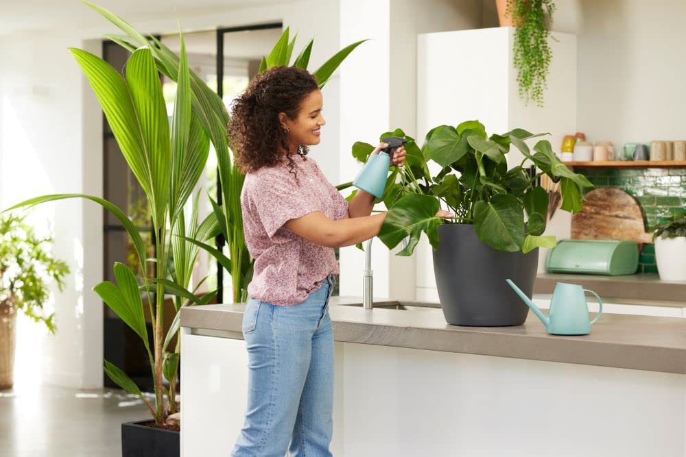 Brussels Sprayer 0.7L - Mint