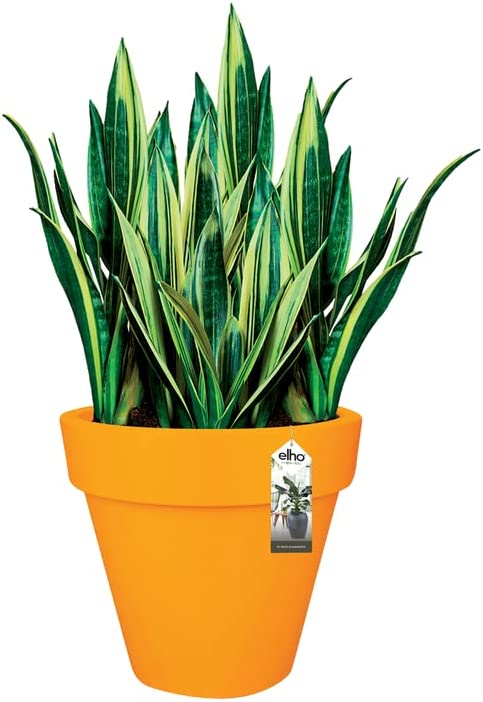 Pure Round 40cm - Ochre