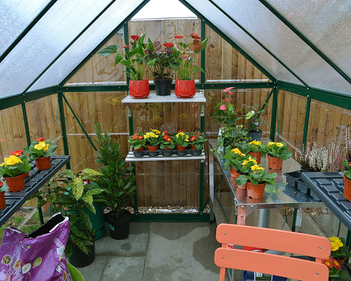 Hybrid 6' x 10' Greenhouse - Green Frame & Hybrid Polycarbonate Panels