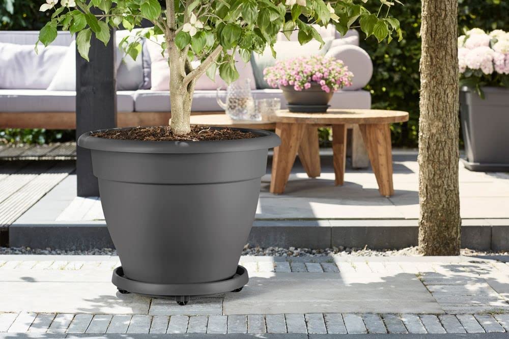 Universal Planttaxi 30cm Anthracite