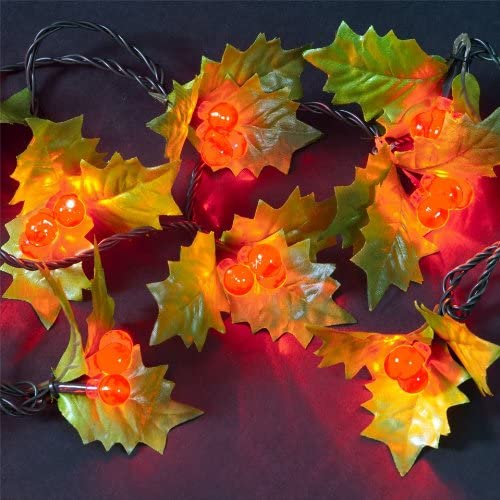 Red Holly Berry 50 Static LED Christmas Lights