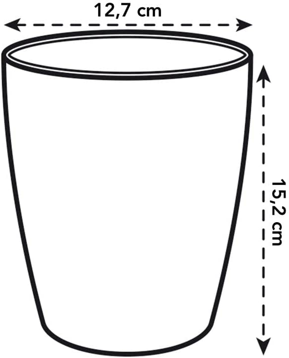 Brussels Orchid High 12.5cm - Cherry Red