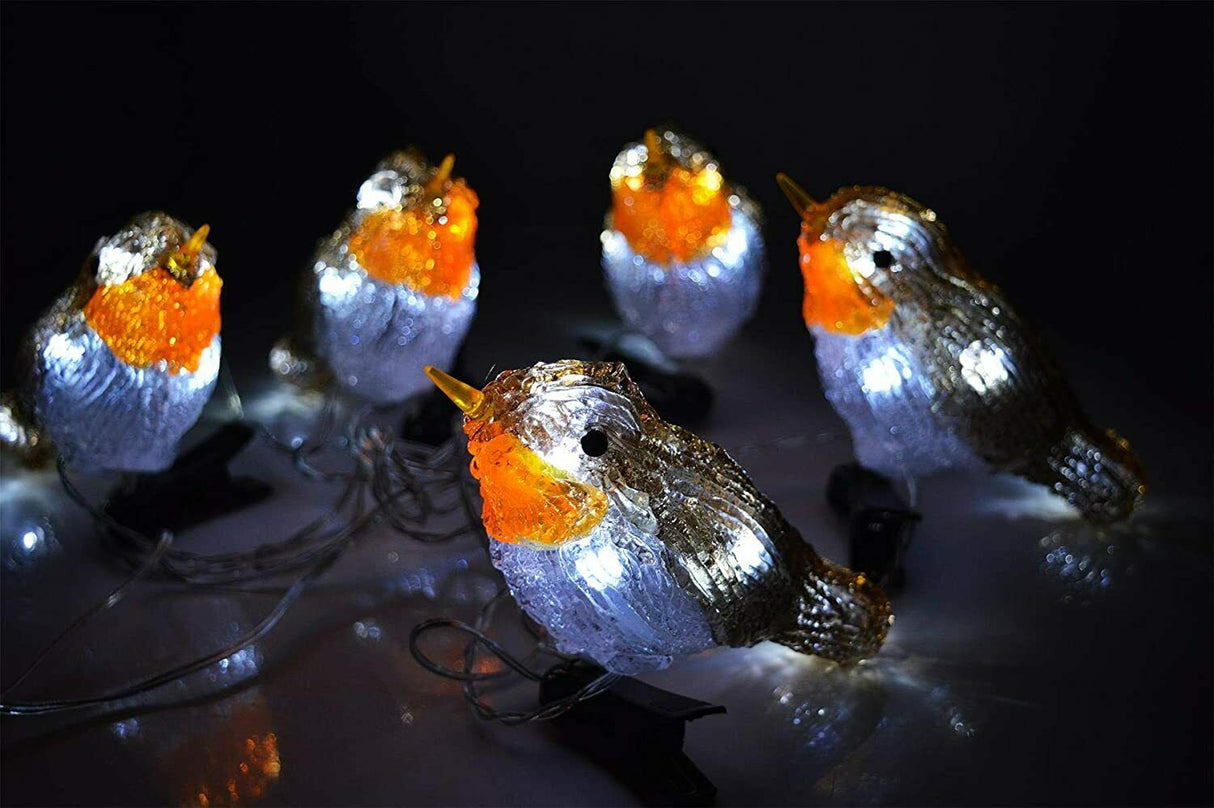 5 LED Clip On Acrylic Robins Lights