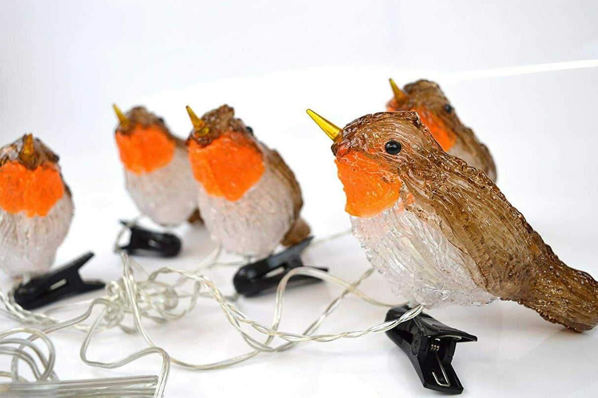 5 LED Clip On Acrylic Robins Lights