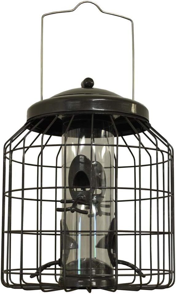 Squirrel Proof Hanging Bird Seed Feeder