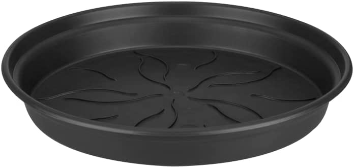 Green Basics Saucer 29cm - Living Black