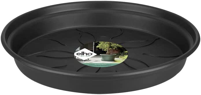 Green Basics Saucer 29cm - Living Black