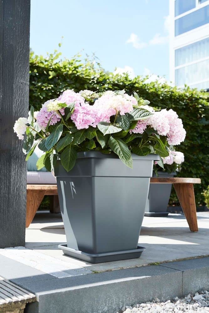 Universal Saucer Square 35cm Anthracite