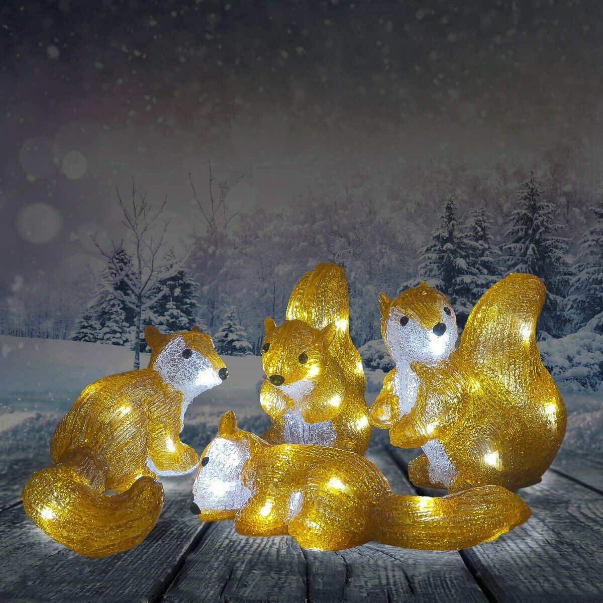 Set of 4 Acrylic Squirrels 25cm with LED Lights
