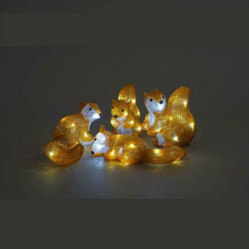 Set of 4 Acrylic Squirrels 25cm with LED Lights