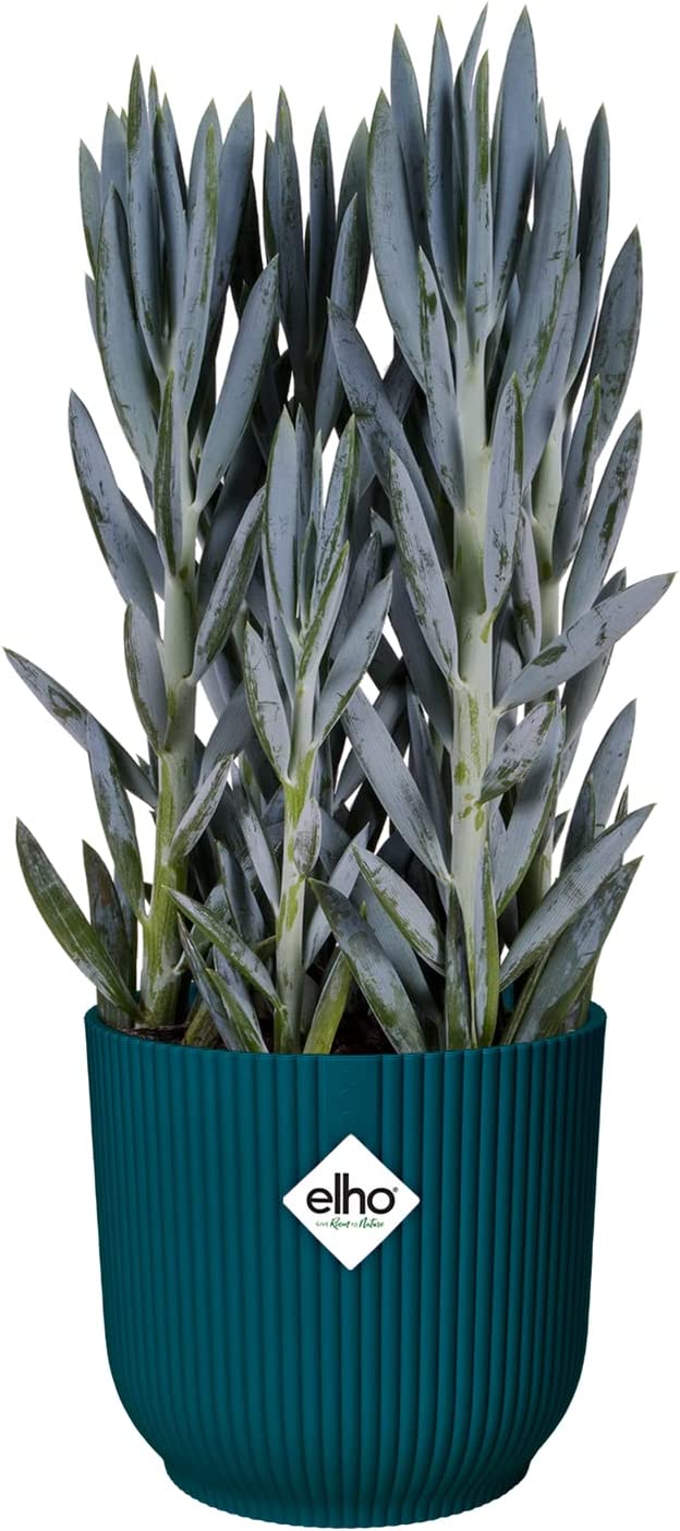 Vibes Fold Round 25cm Deep Blue