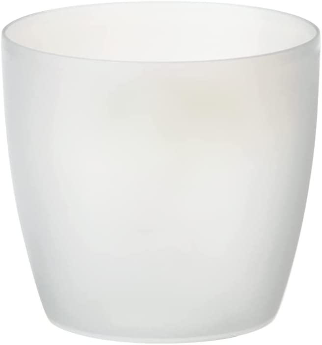 Brussels Orchid 16cm - Transparent