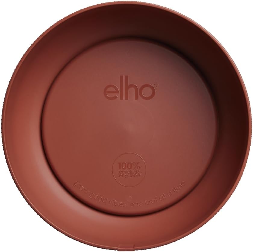Jazz Bowl 28cm - Tuscan Red