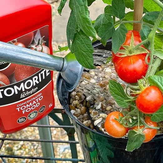 Levington Tomorite Concentrated Tomato Food 1.2L