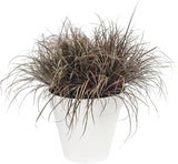 Urban Jungle Plant Pot - Indoor or Outdoor - 28cm White