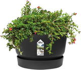 Greenville Bowl 33cm - Living Black