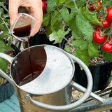 Levington Tomorite Concentrated Tomato Food 1.2L