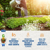 All Purpose Plant Food - 800g